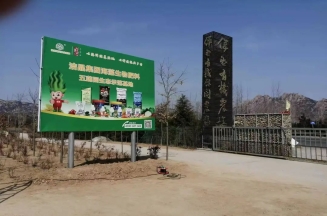 山東潔晶集團(tuán)總裁、市人大代表林成彬建言日照茶產(chǎn)業(yè)提質(zhì)增效